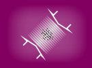 Center for Ultracold Atoms and Quantum Gases