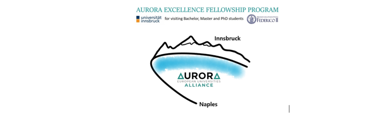 Summer 2023: Aurora Excellence Fellowship Program